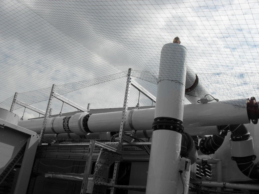 Bird Control in London, Greater London